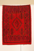 Nuutilan puuryijy